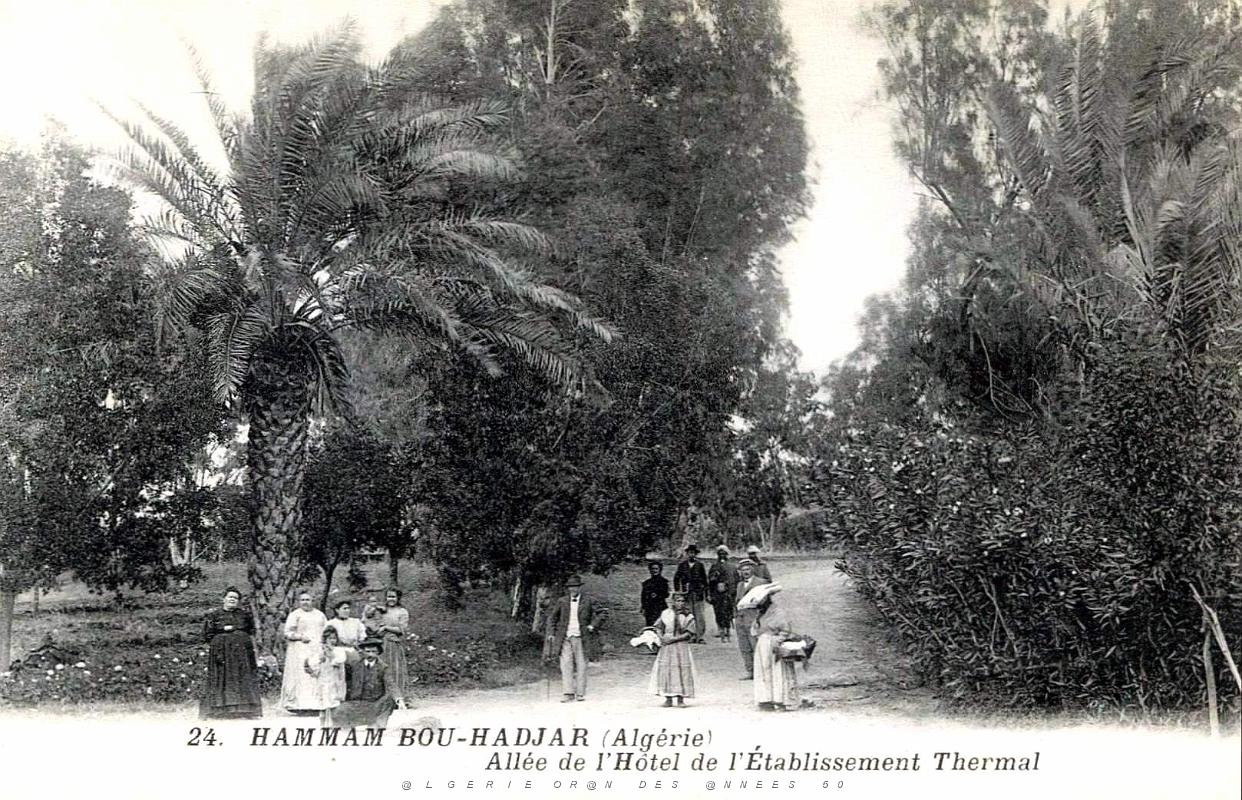 596- Hammam-Bou-Hadjar - Allee des Thermes.jpg